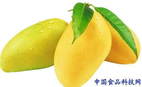 十个月第三代助孕宝宝吃什么水果